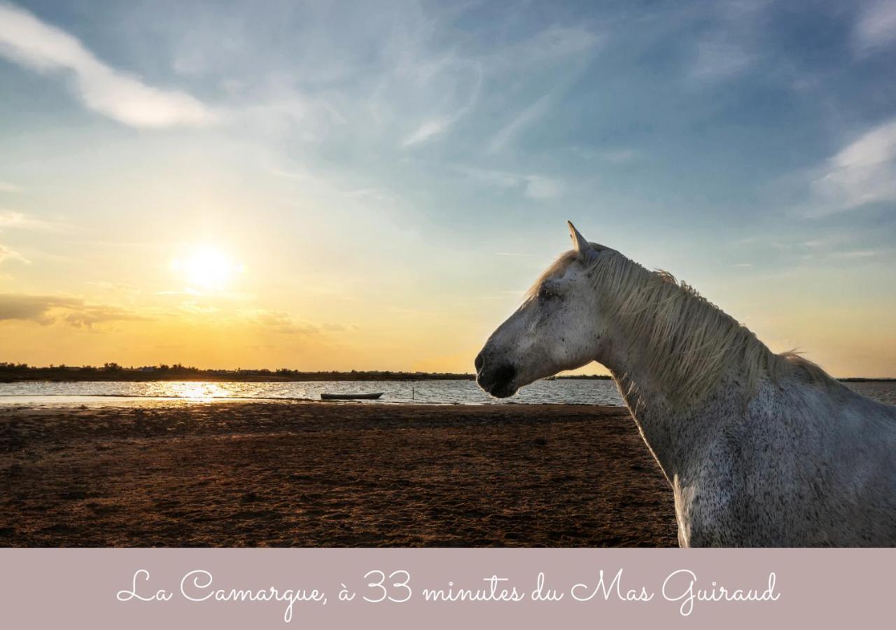 Gites Le Mas Guiraud Beaucaire  Esterno foto